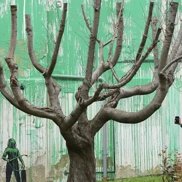 Bansky nouvelle fresque et symbole écologique à Londres